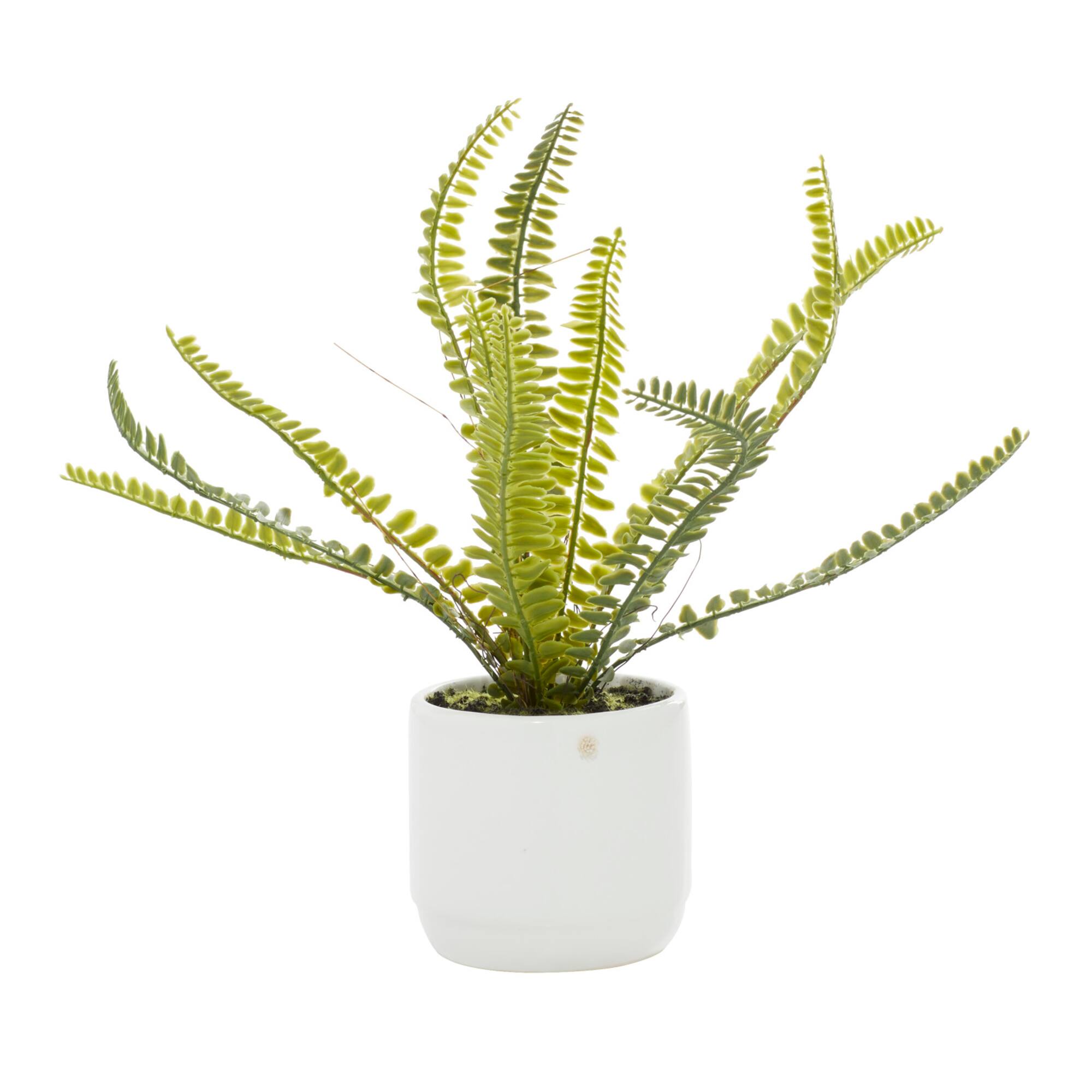 White Ceramic Contemporary Artificial Foliage
